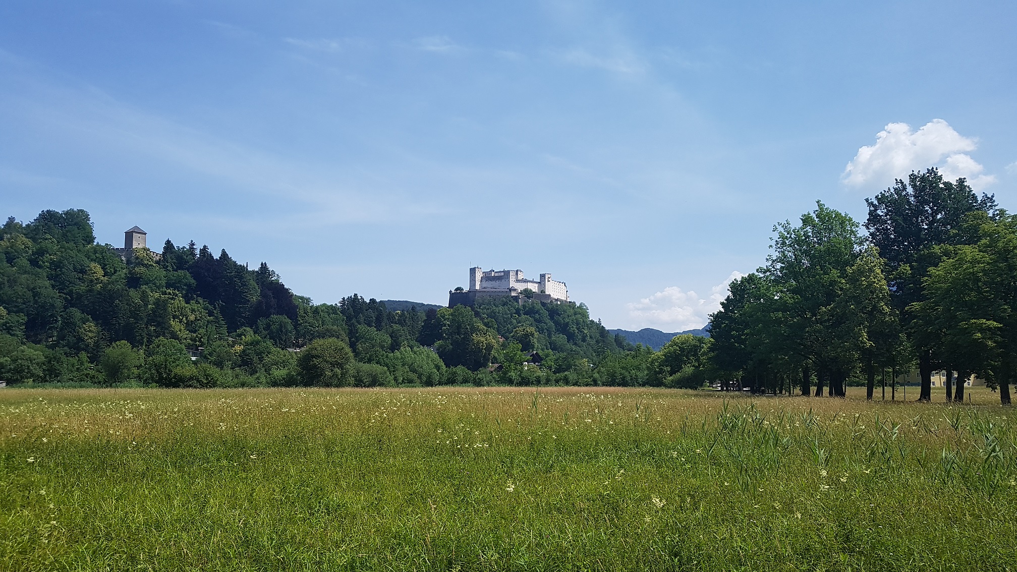 Viel Grün im Süden von Salzburg!